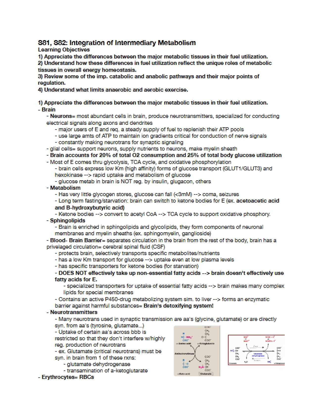 Lecture Review Nuclear Receptors and Metabolism Integration