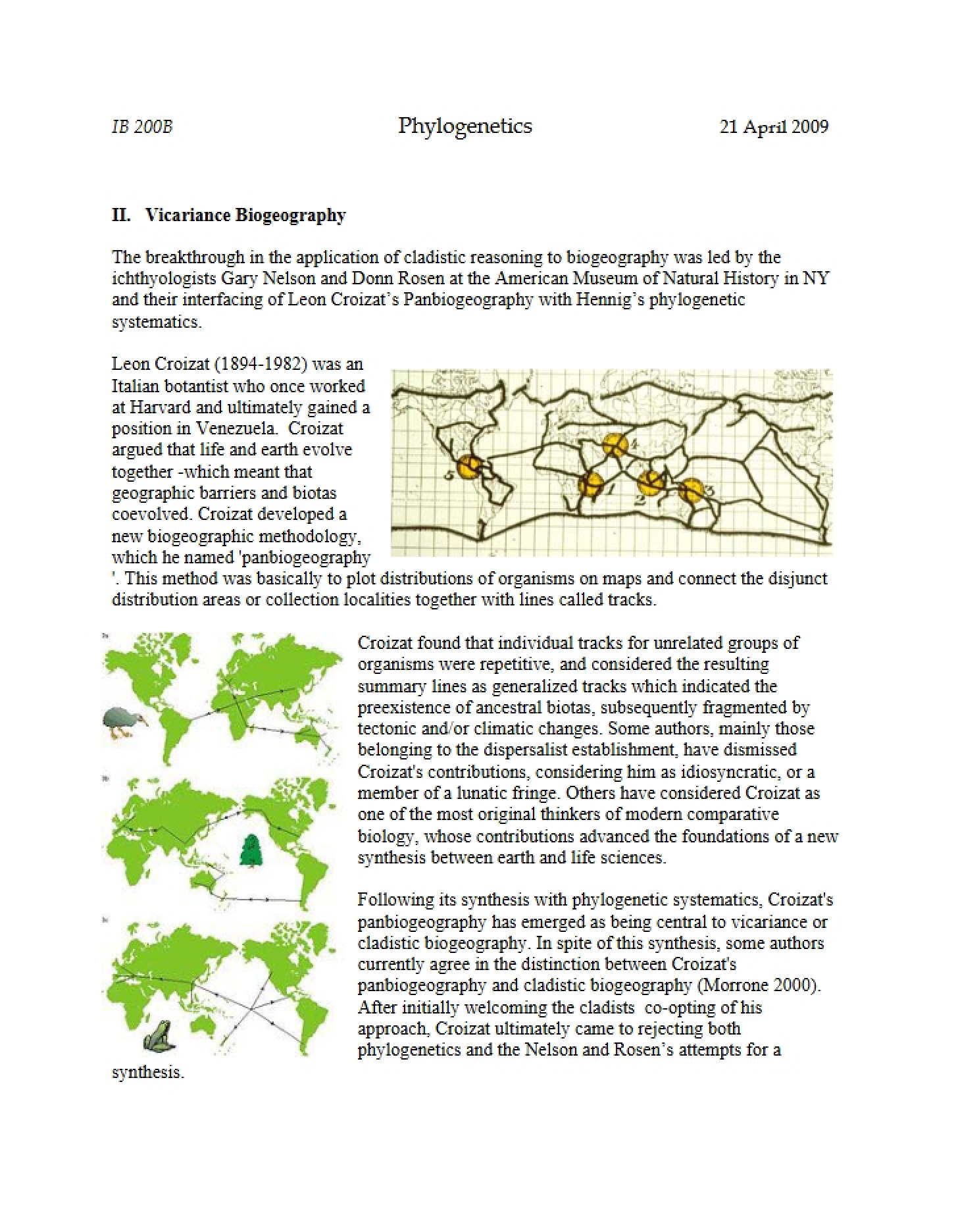 Phylogenetic Studies