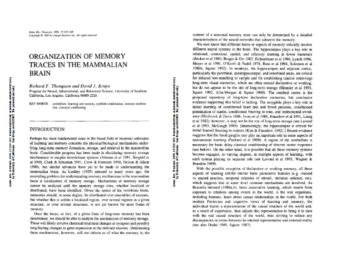 Mammalian Brain Memory Trace Structure