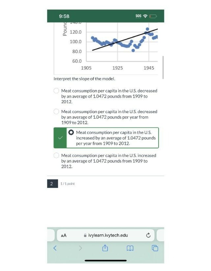 US Meat Consumption per Capita