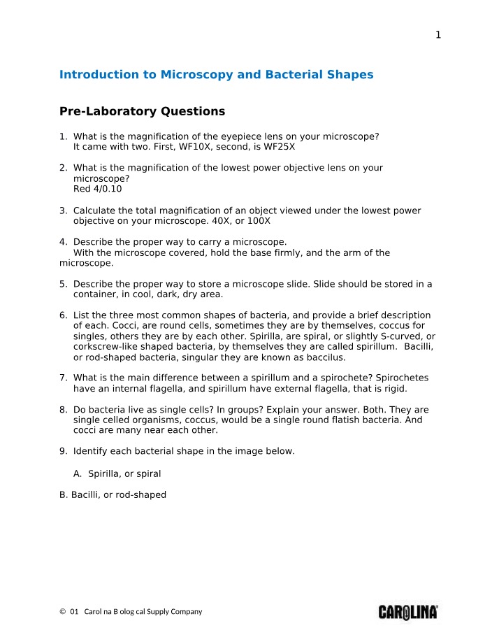 Answer Sheet - Microscopy and Bacterial Shapes