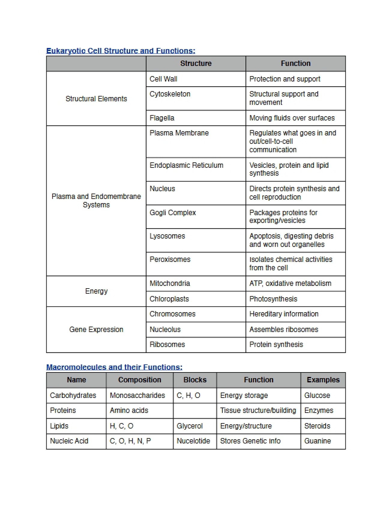 Structure and Function Eukaryotic Cells