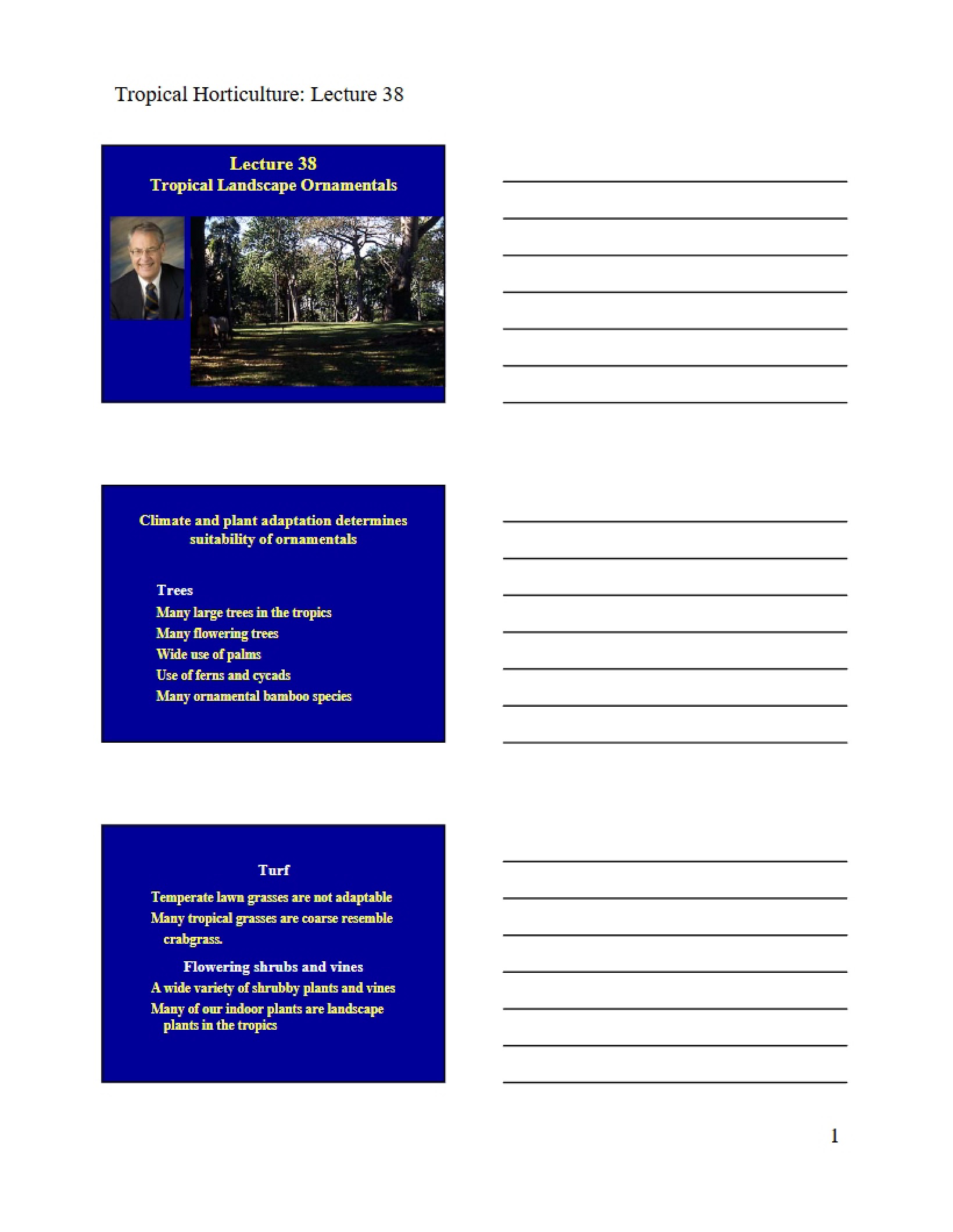 Tropical Hort Lecture 38