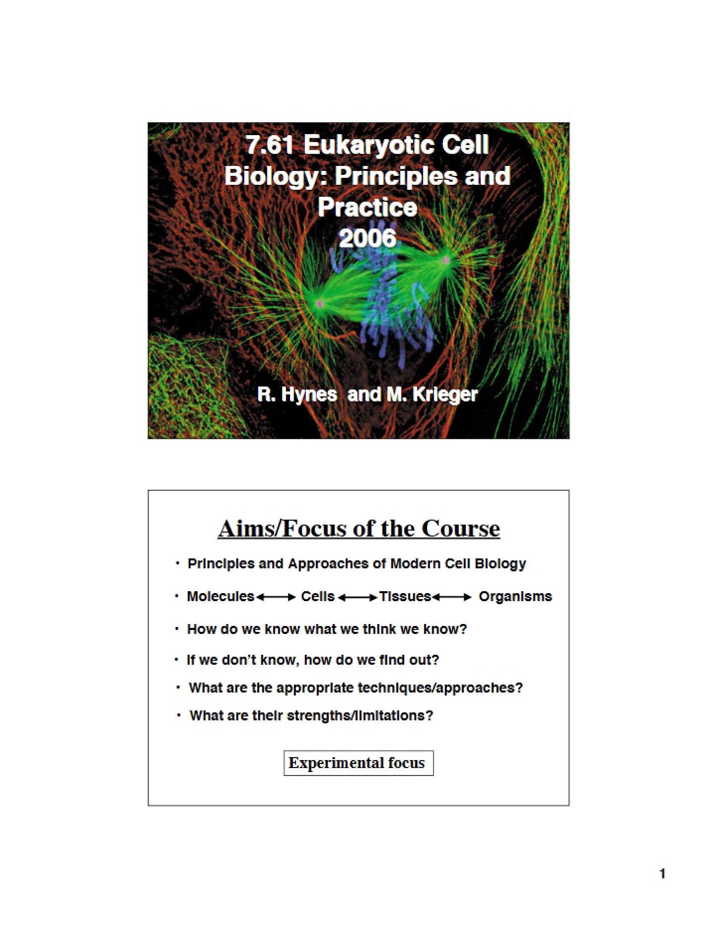 Slides for Lecture