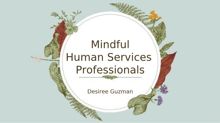 Mindful Professionals in Human Services