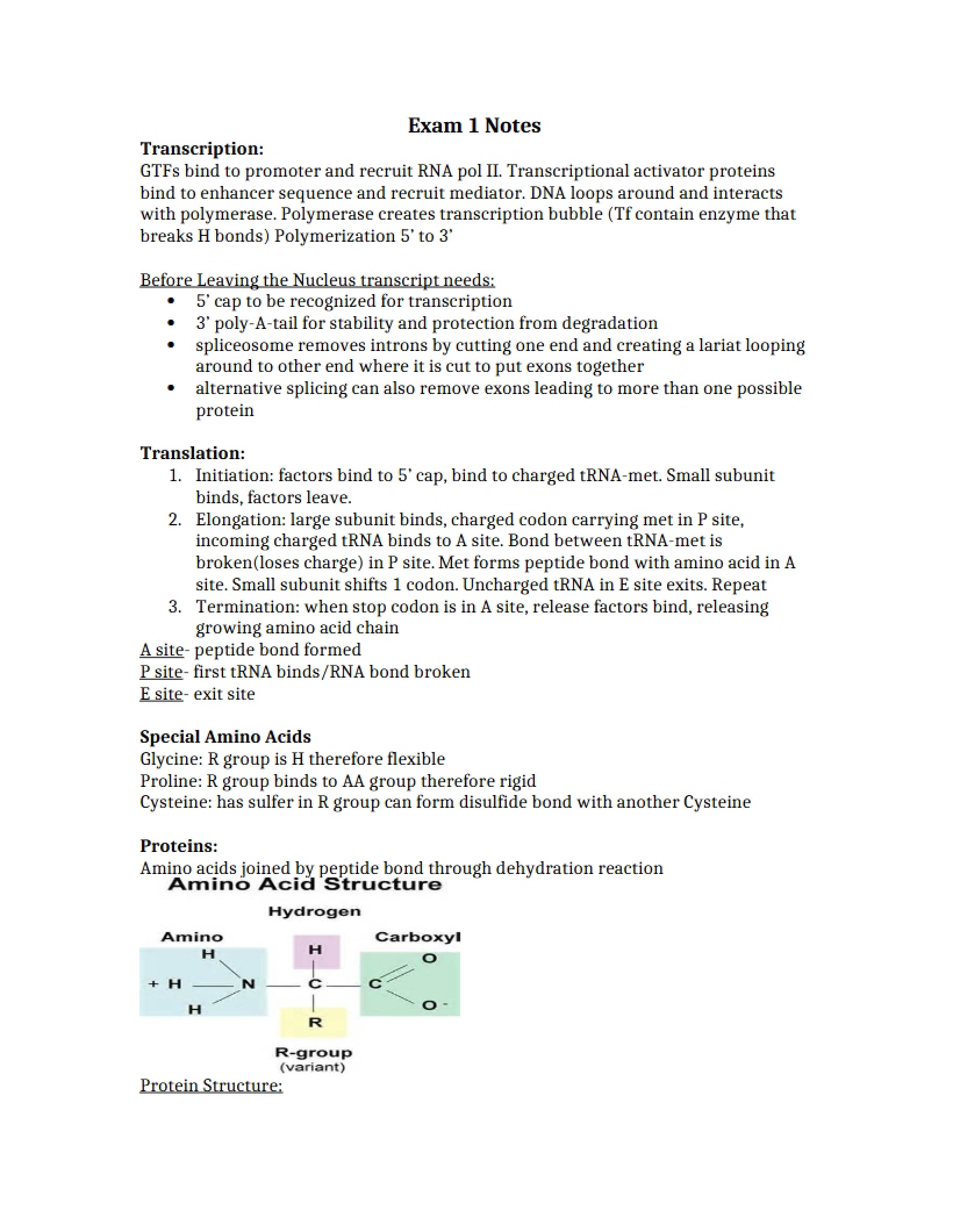First Examination