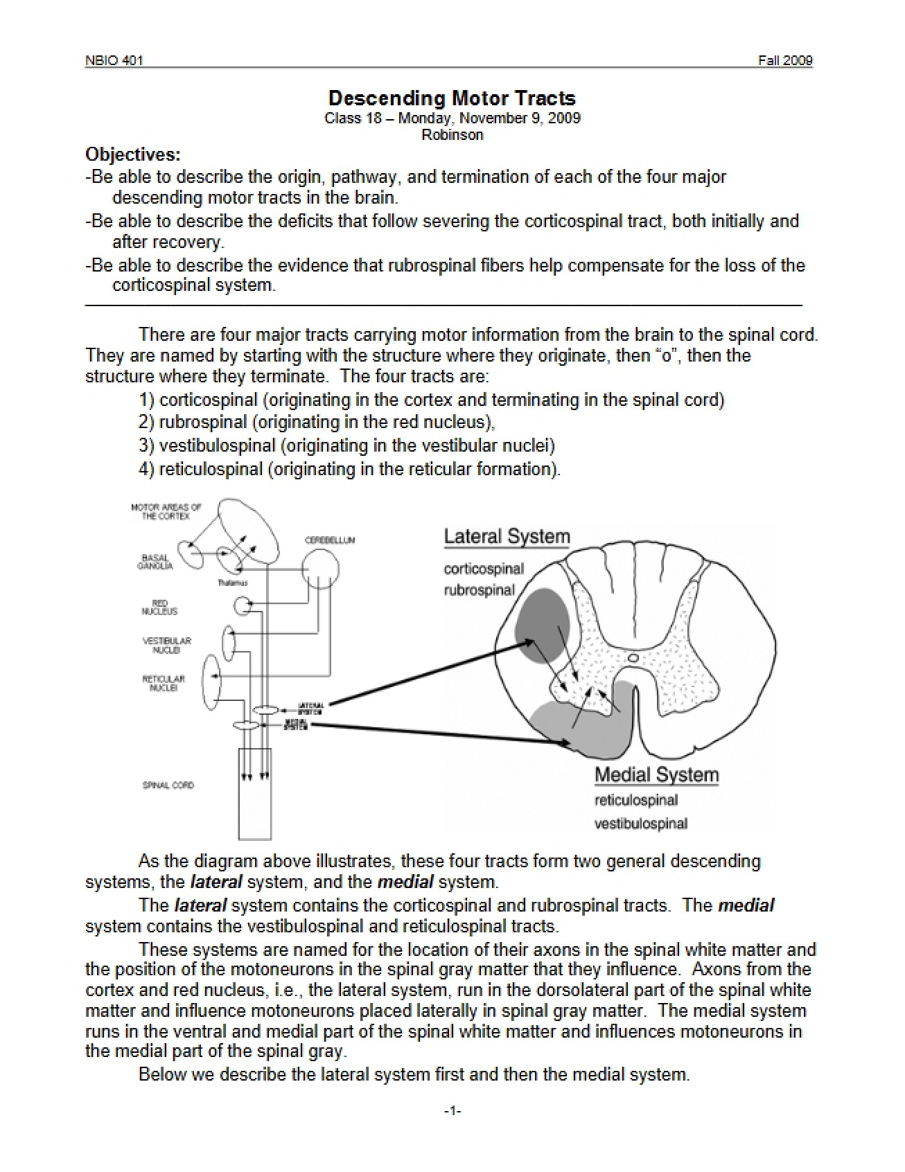 Motor Tracts (Descending)