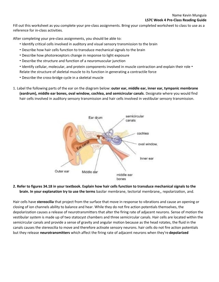 Week 4 Pre-Class Reading Guide for LS7C