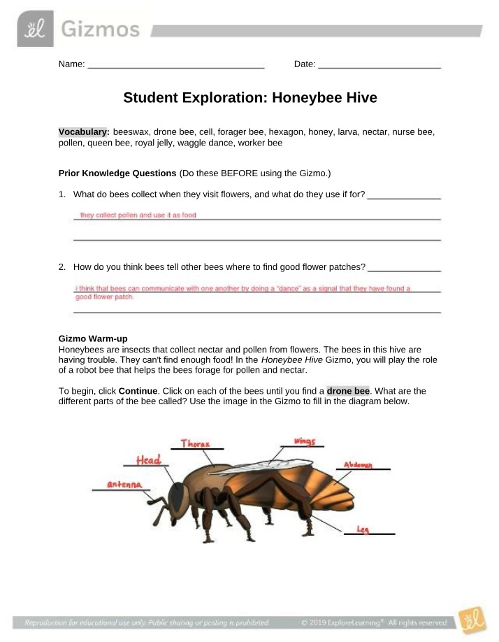 Exploration of the Honeybee Hive