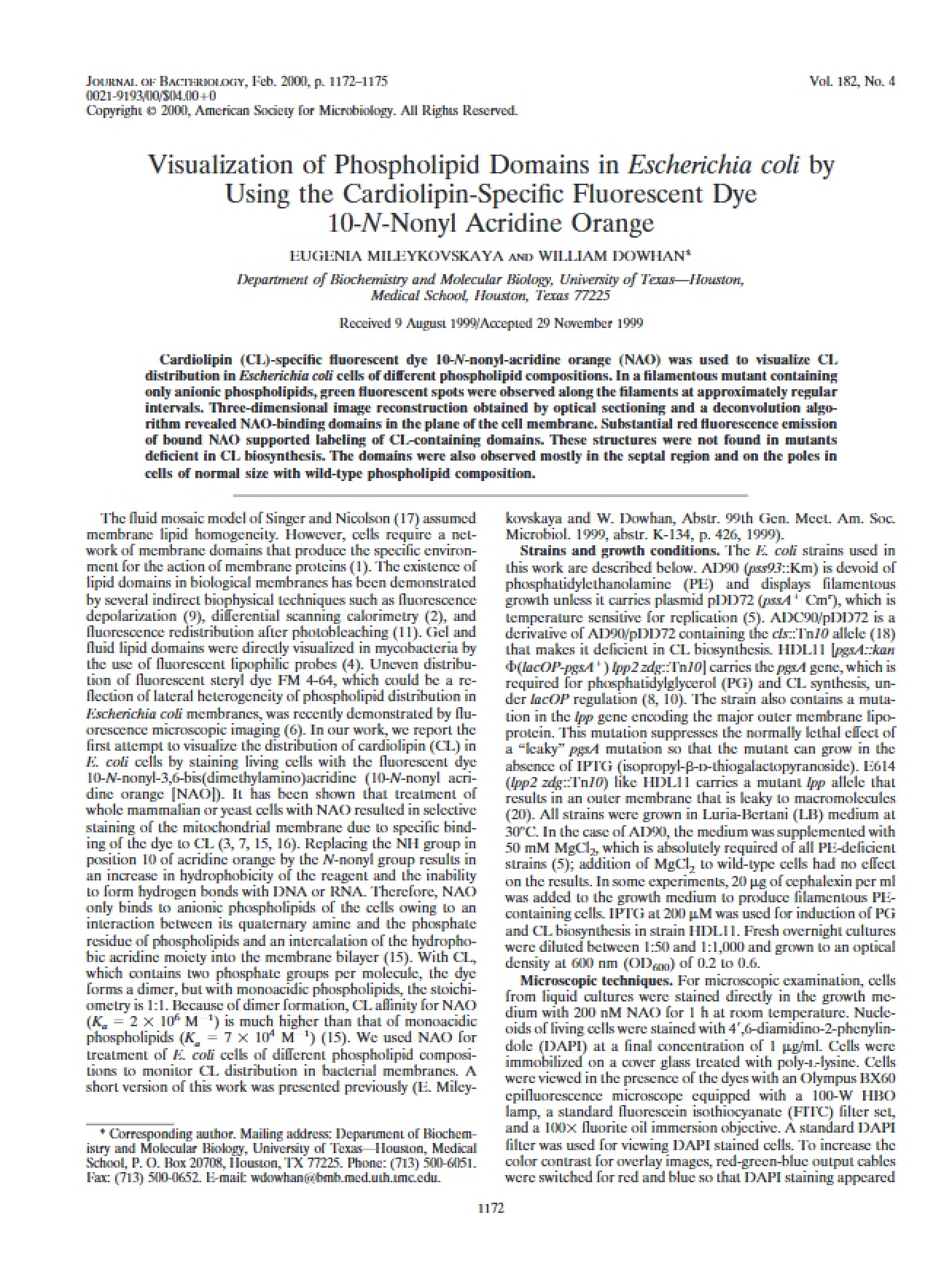 Imaging E. Coli Phospholipid Domains