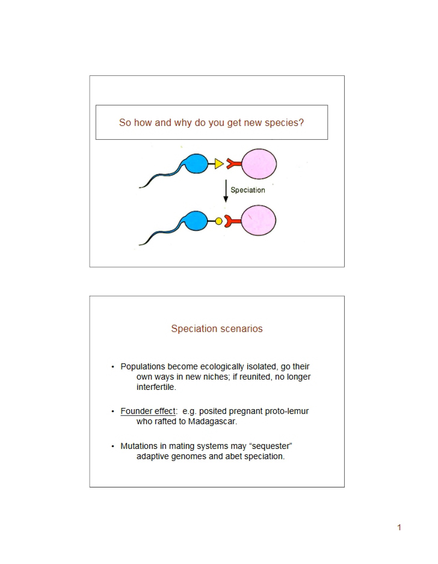 Summary of Lecture Material