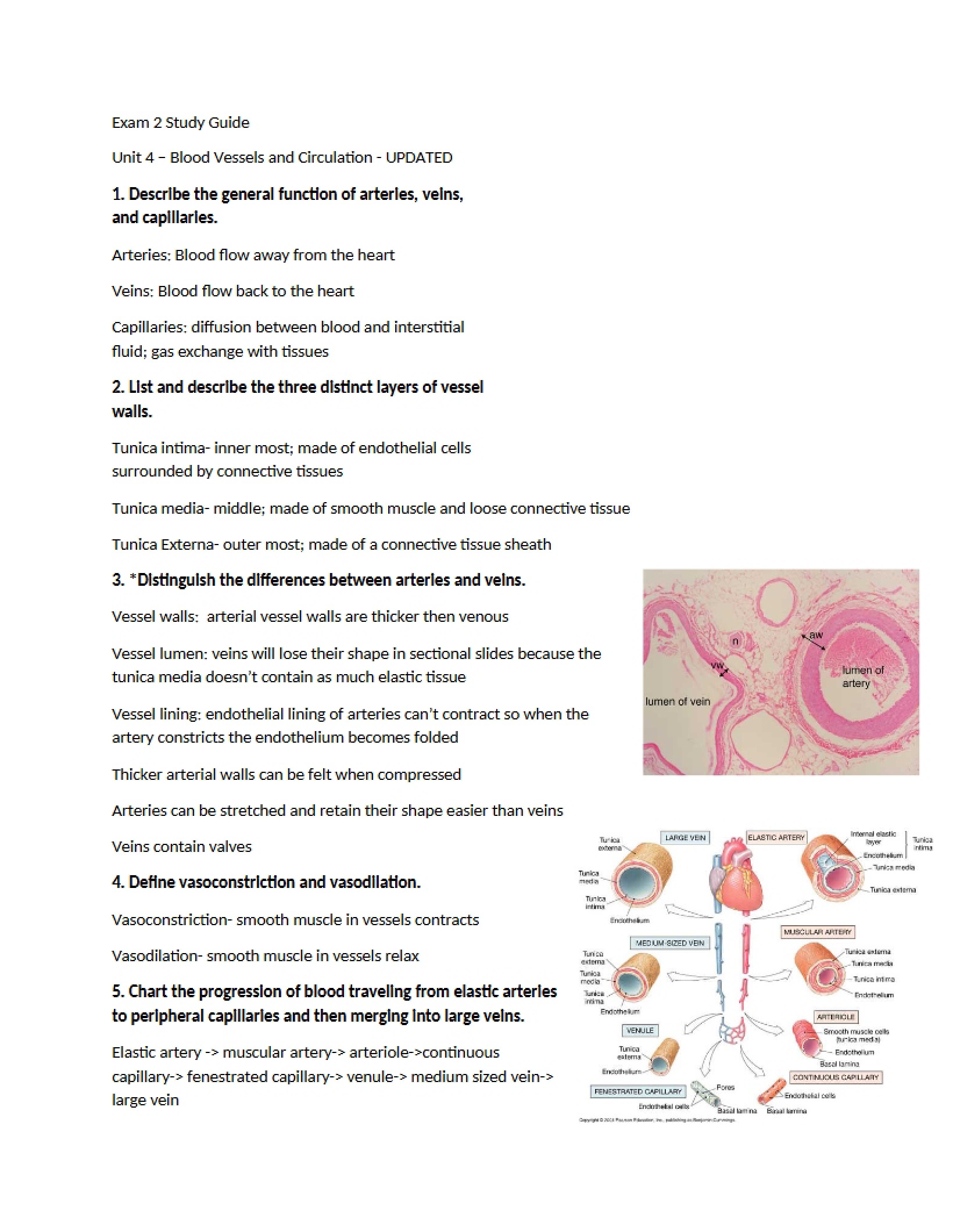 Guide for Second Exam