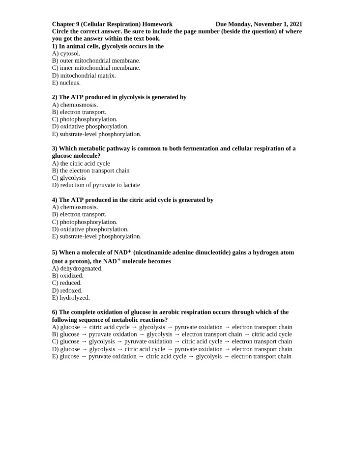 Homework - Cellular Respiration