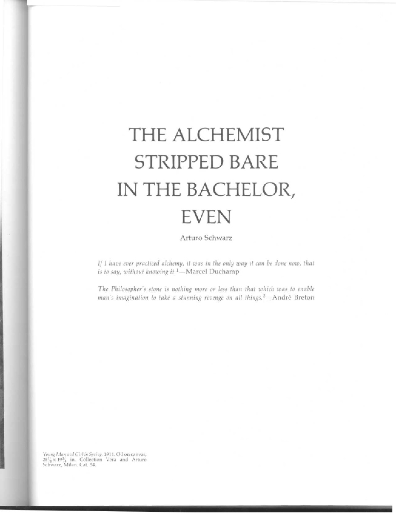 Stripped Bare The Alchemist