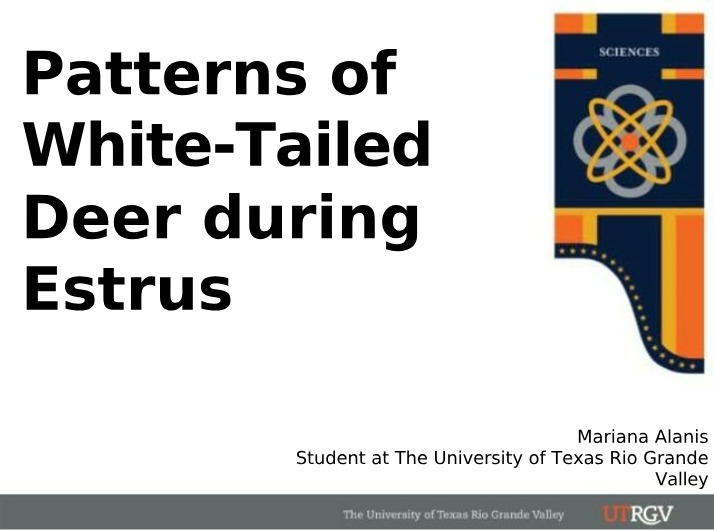 White-Tailed Deer Activity Patterns During Estrus