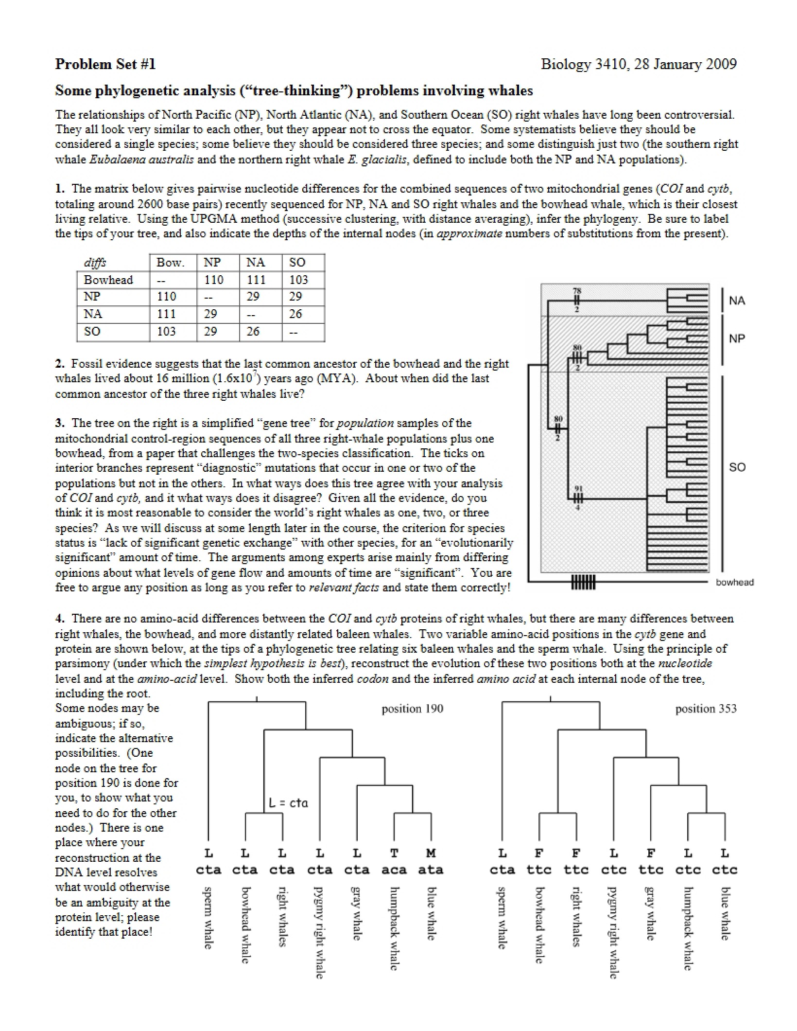 Problem Set for Biology 3410
