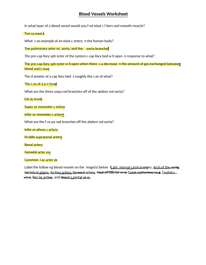 Worksheet for Blood Vessels