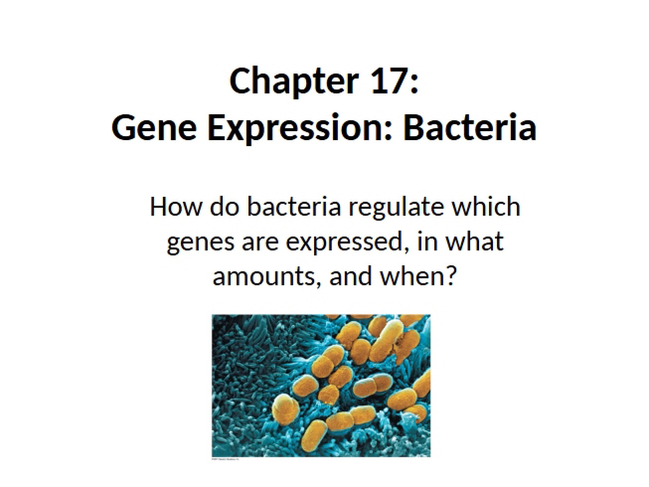 Lecture 29 for Modern Students