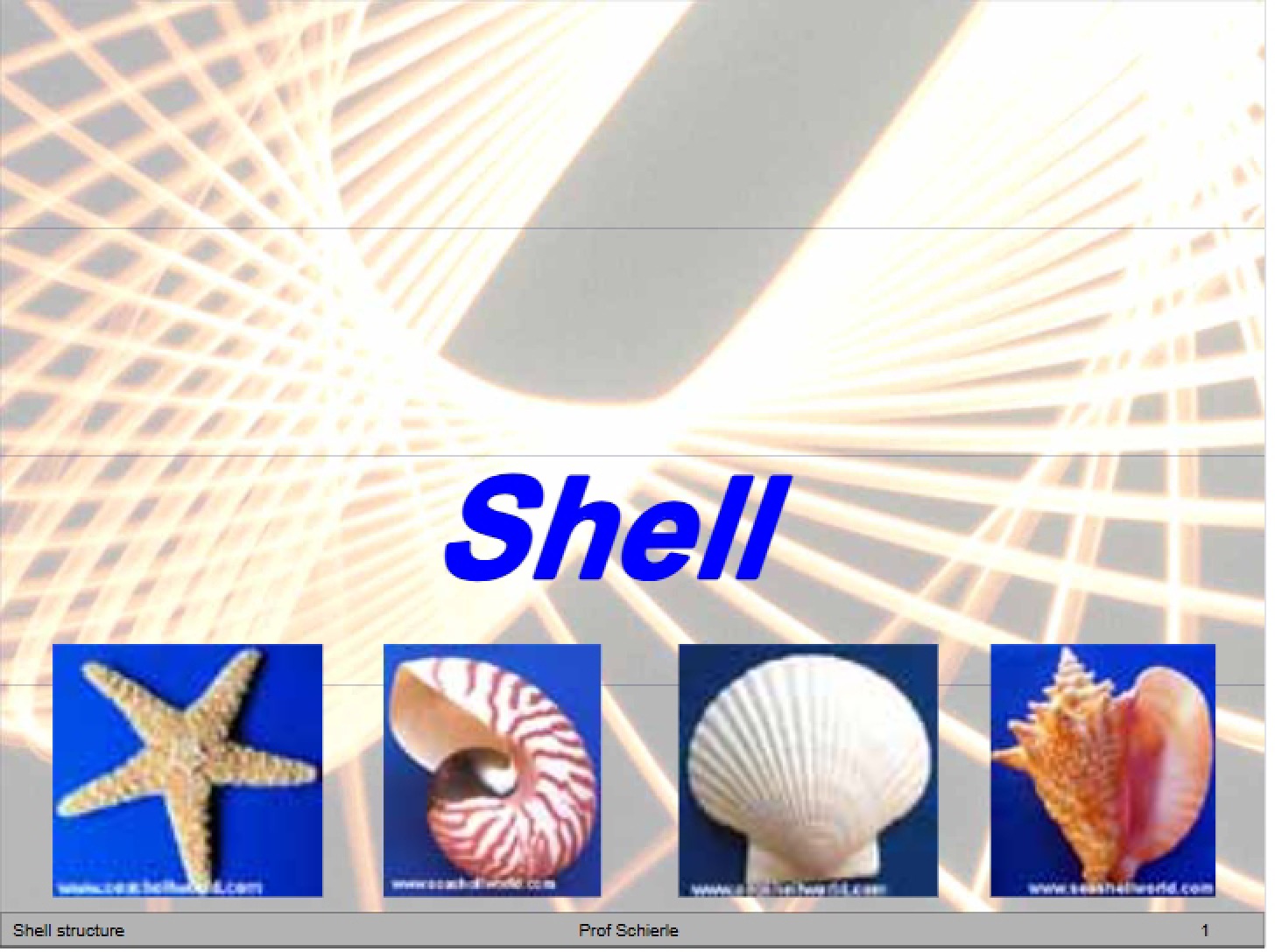 Shell Construction 13