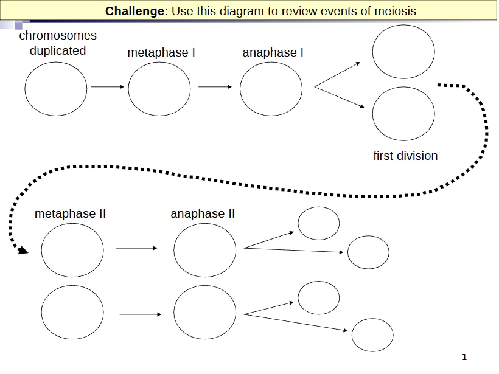 Lecture 26 Notes