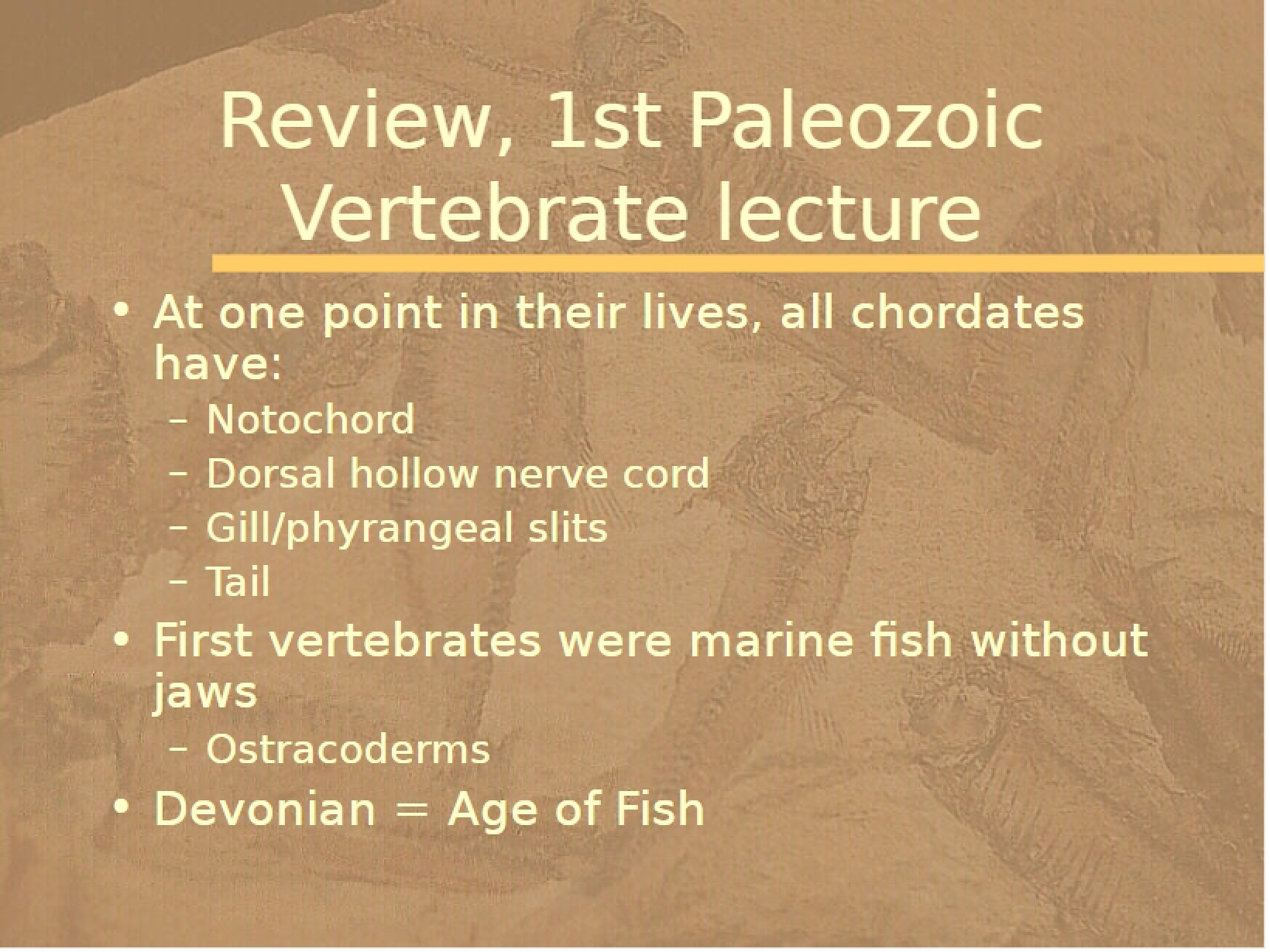 Lecture on First Paleozoic Vertebrates