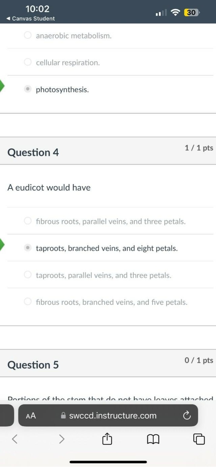 Quiz - Cellular Respiration, Photosynthesis, and Plant Anatomy