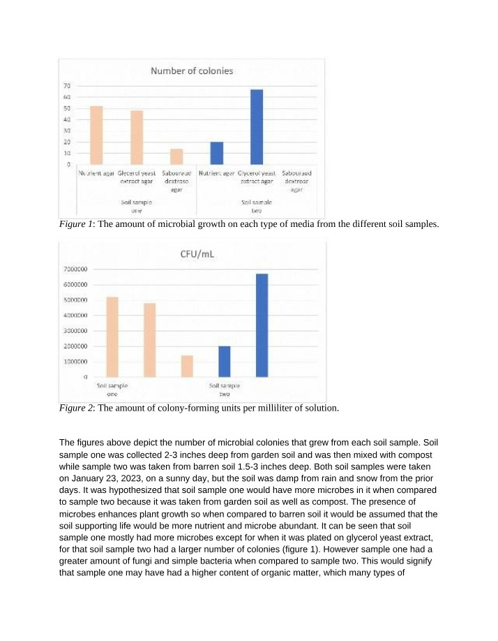 Microbial Colonies in Soil Samples - Nutrient-rich Comparison