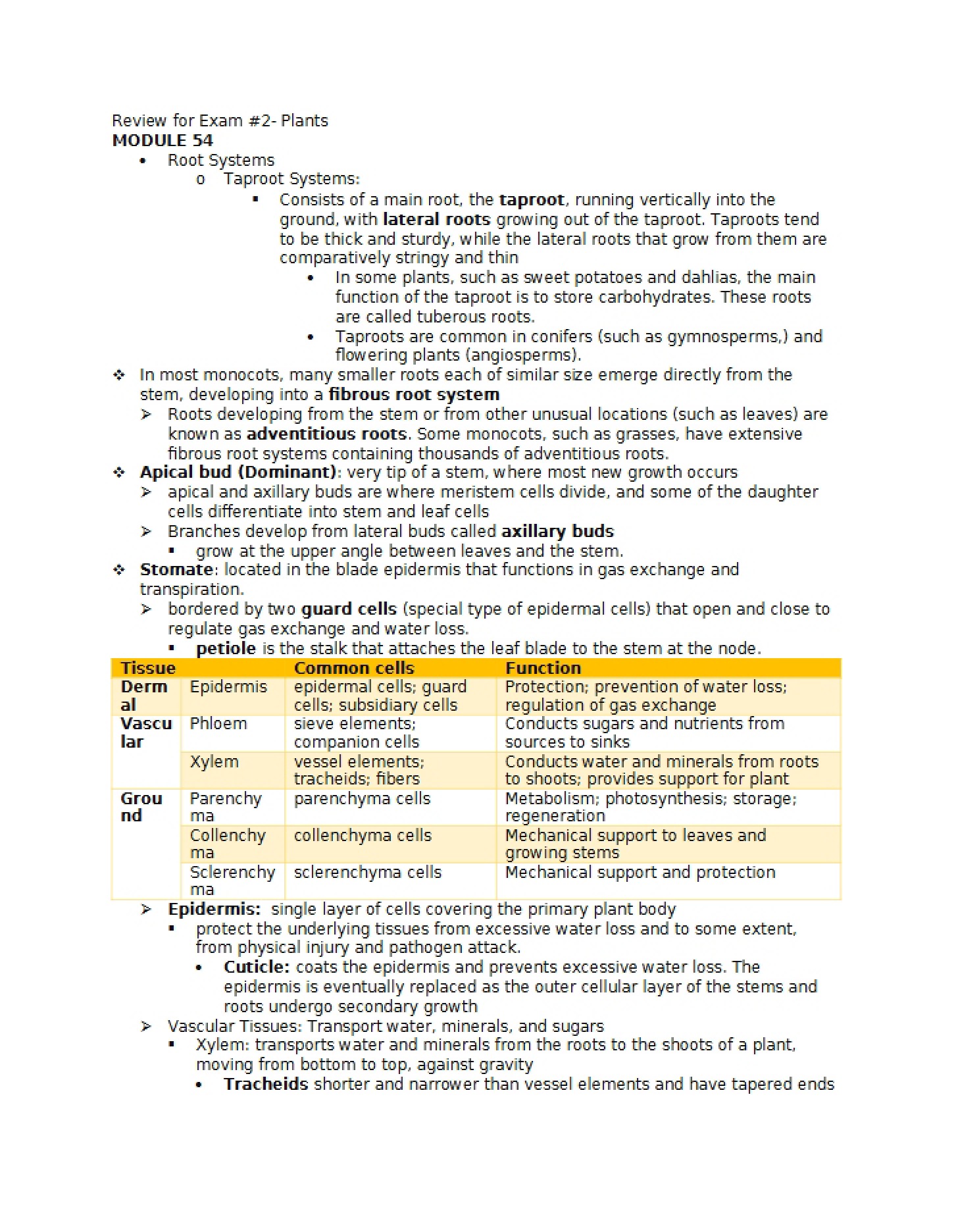 Plants Exam #2 Review