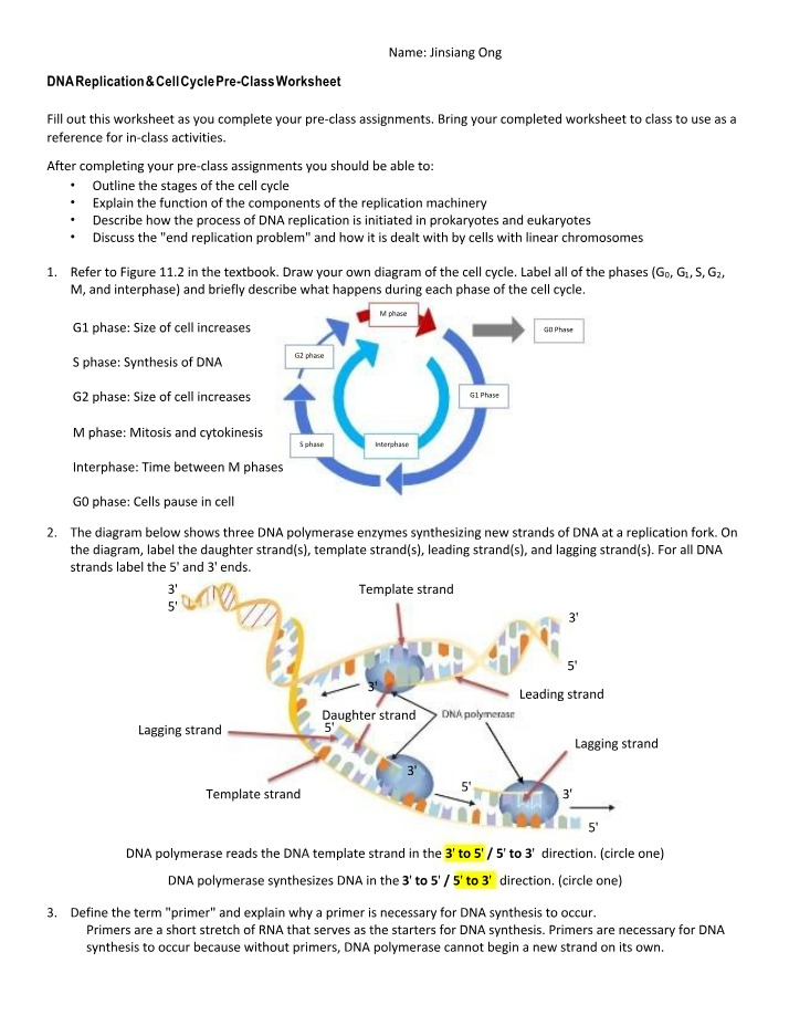 Worksheet on DNA Replication and Cell Cycle
