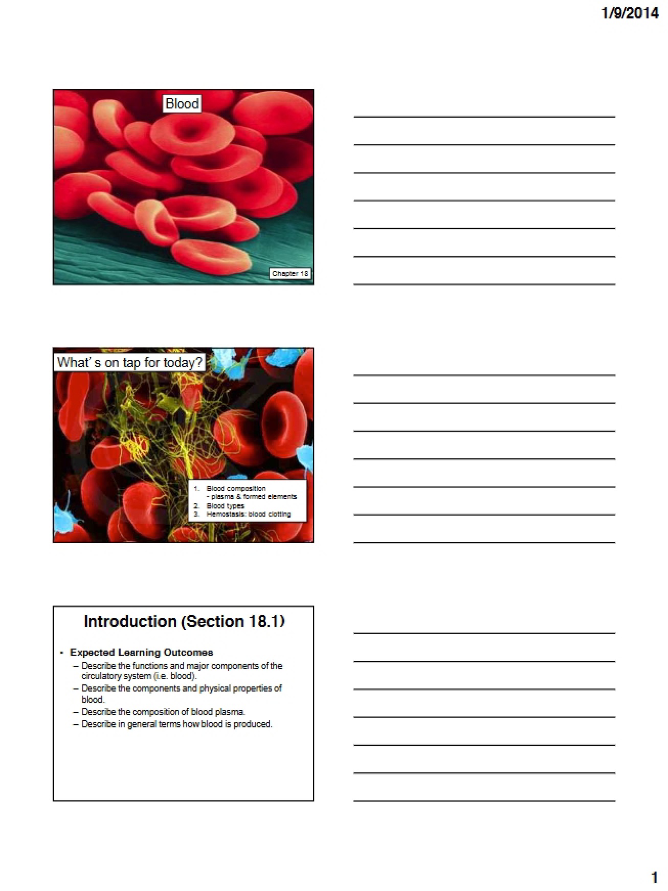 Handout Notes Chapter 18