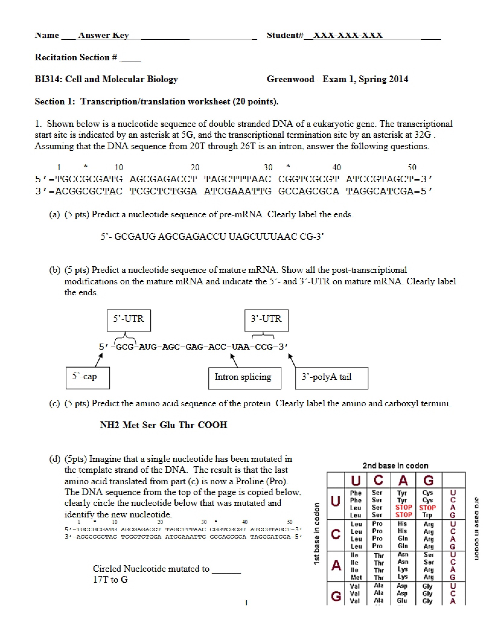 Molecular and Cellular Biology