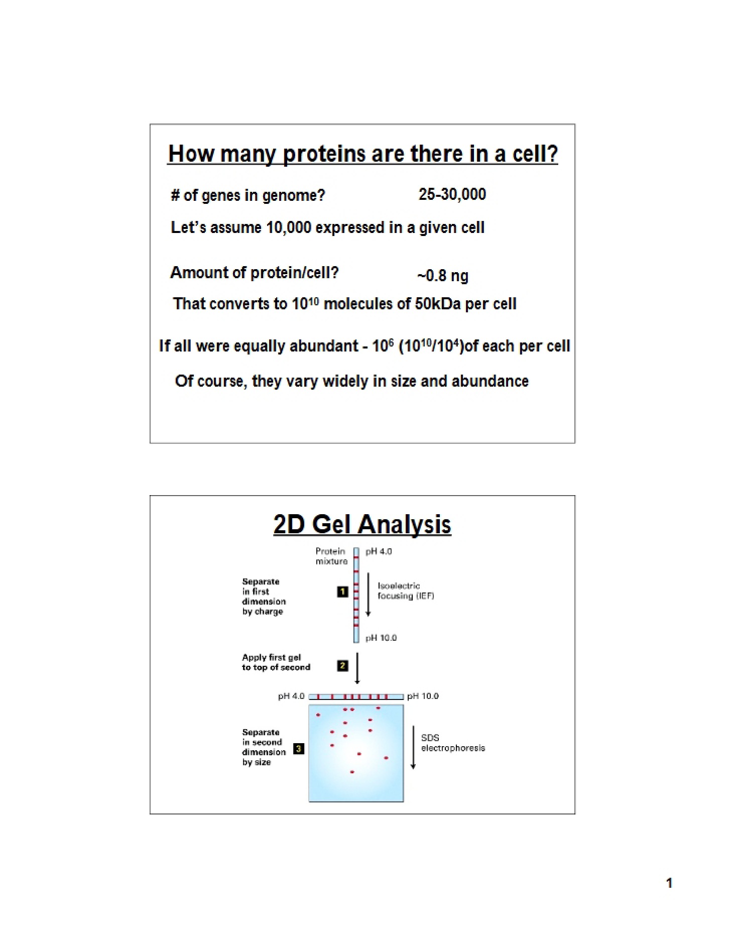 Protein Science