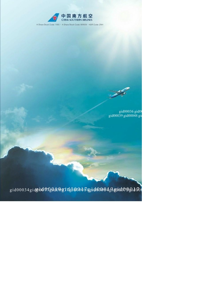 2020 Annual Report for China Southern Airlines Company Limited