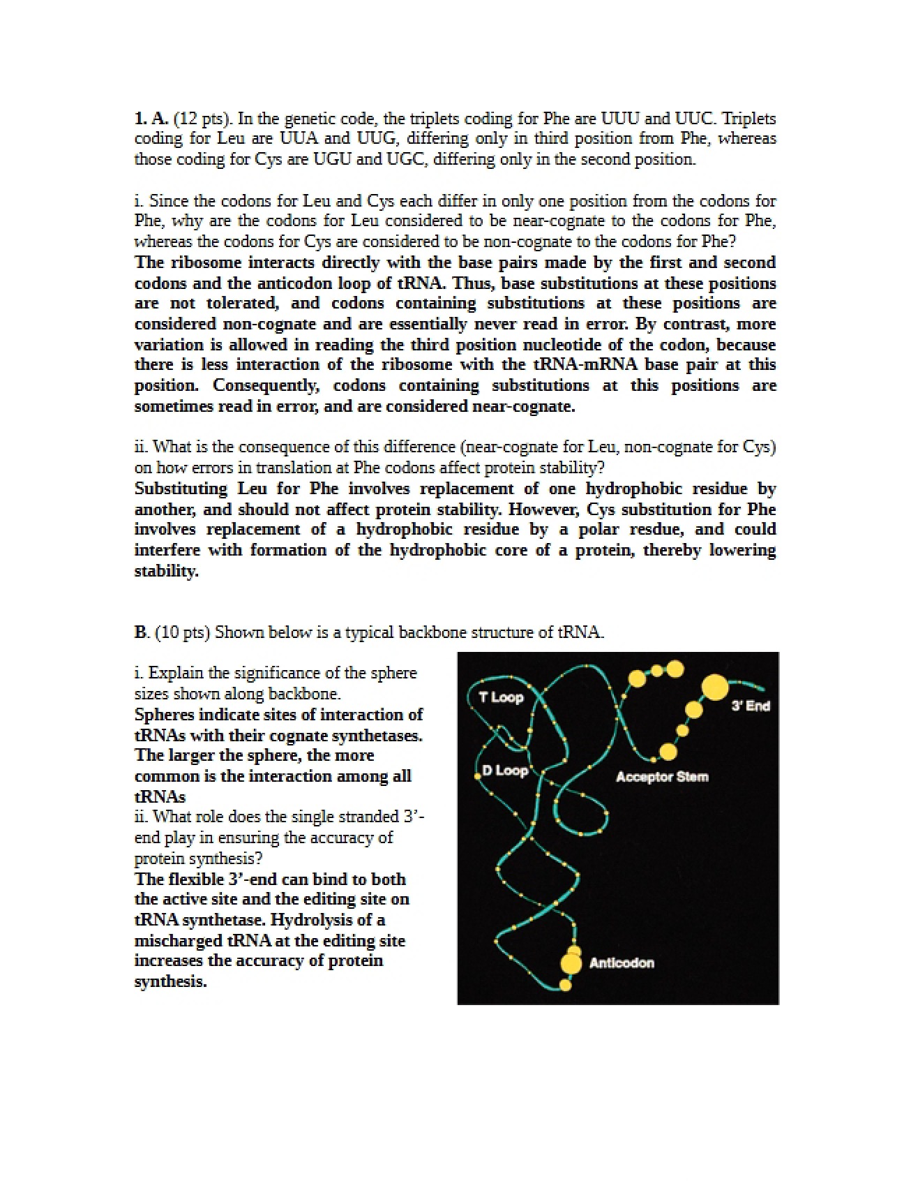 Key for Practice Exam 3