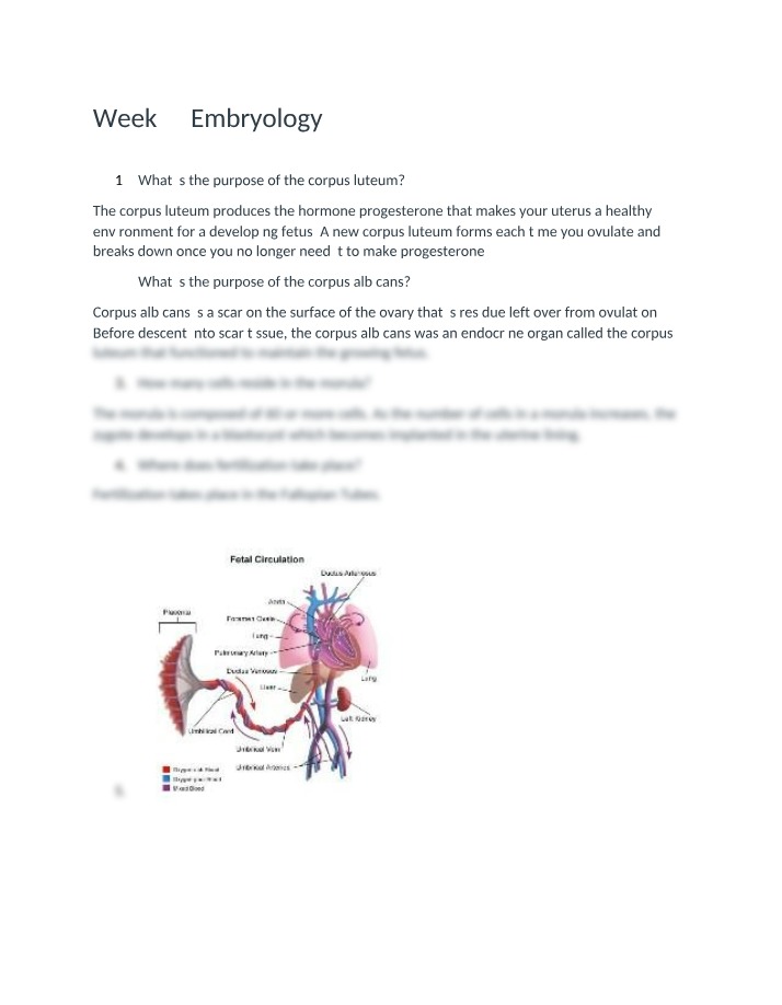 Corpus Luteum, Corpus Albicans, and Fetal Circulation - Embryology Week 4
