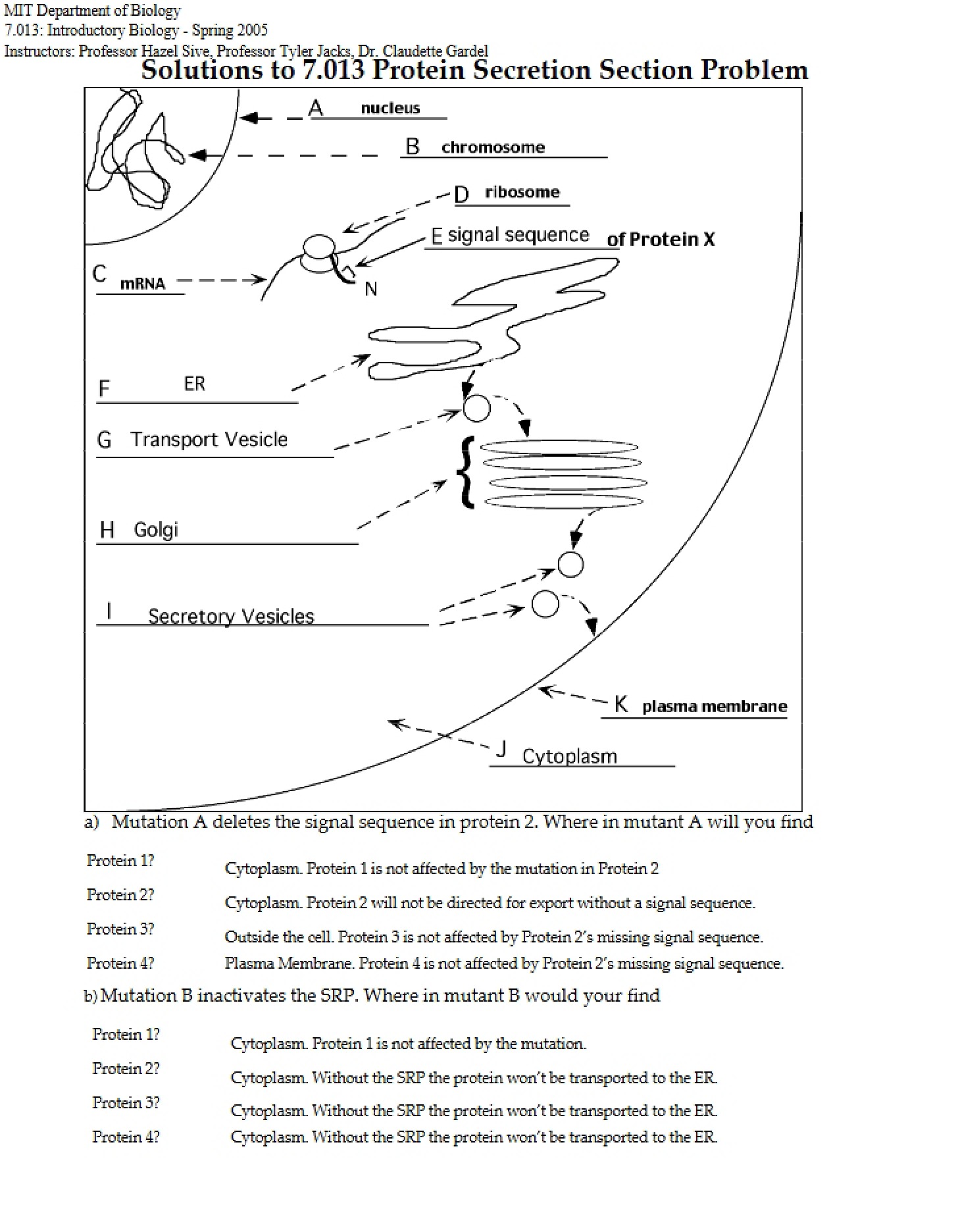 Section Problem Protein Secretion