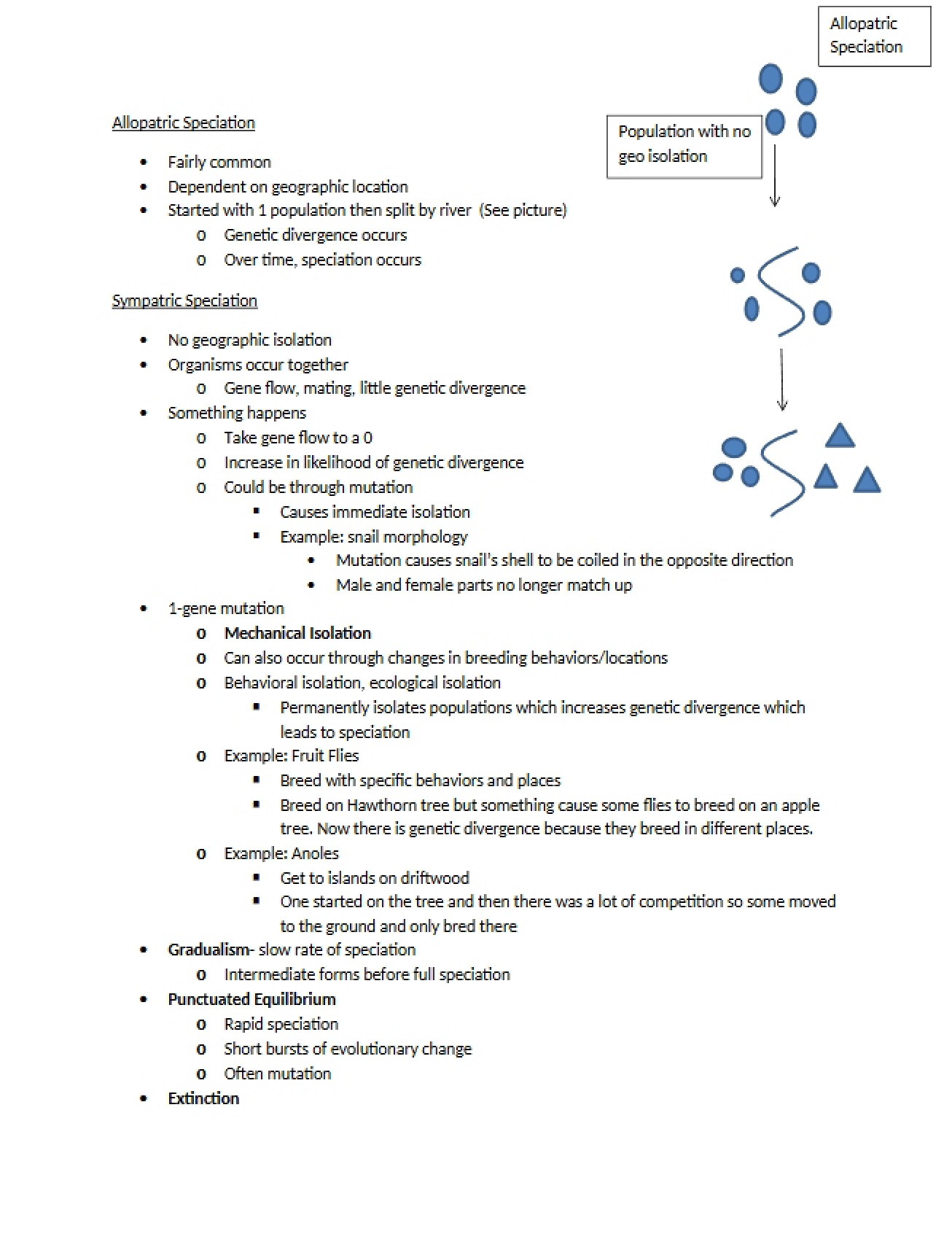 Speciation Allopatric