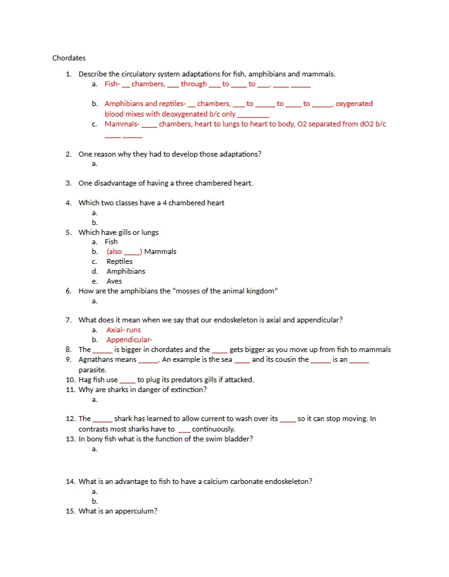 Worksheet Chordates (Blank)