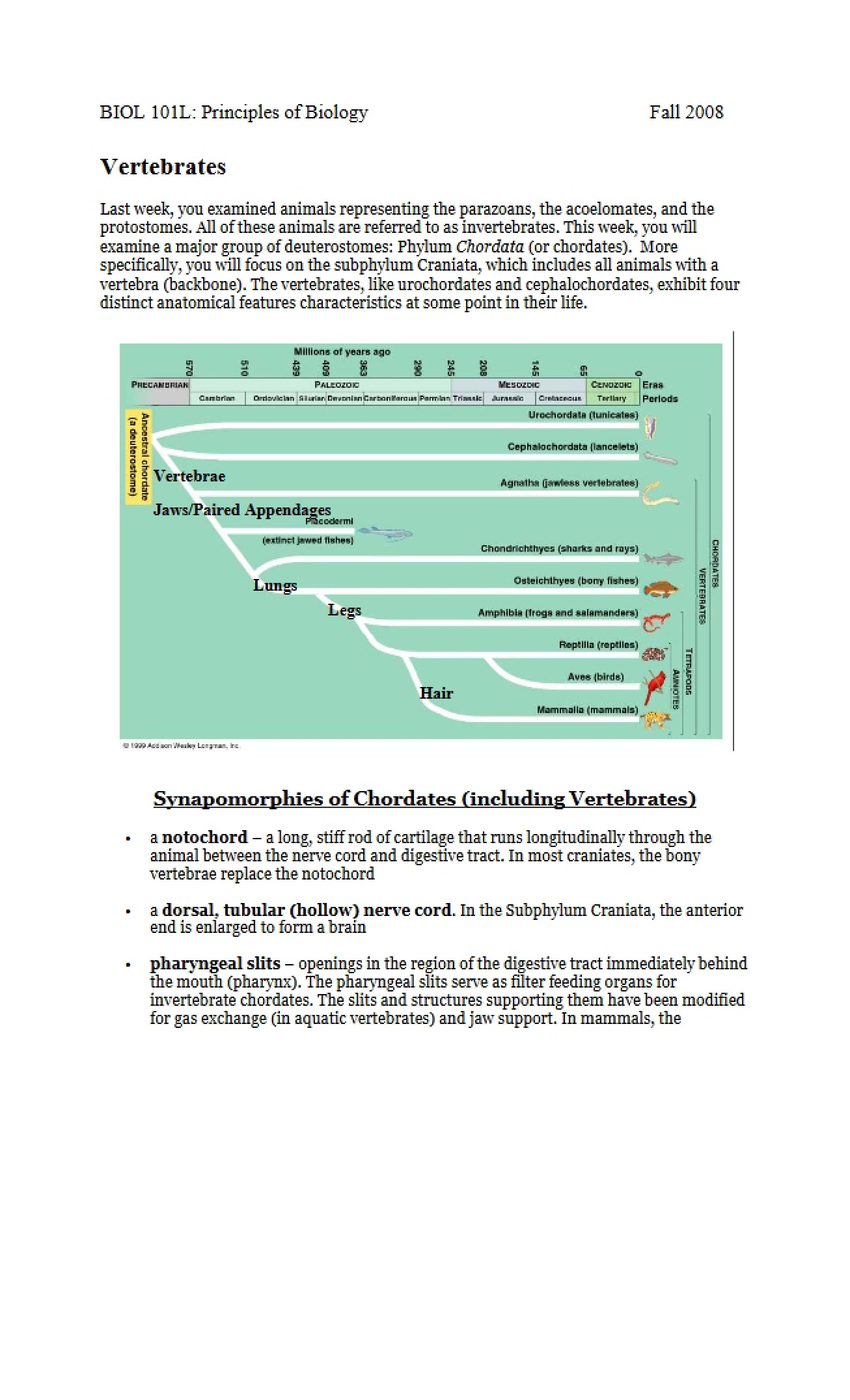 Vertebrates Laboratory Notes