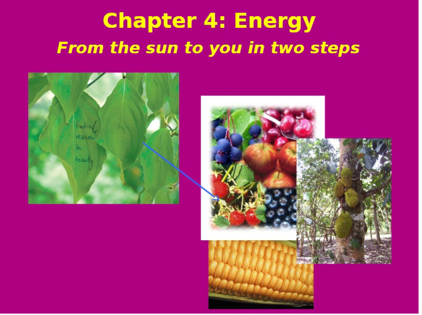 Energy Chapter 4