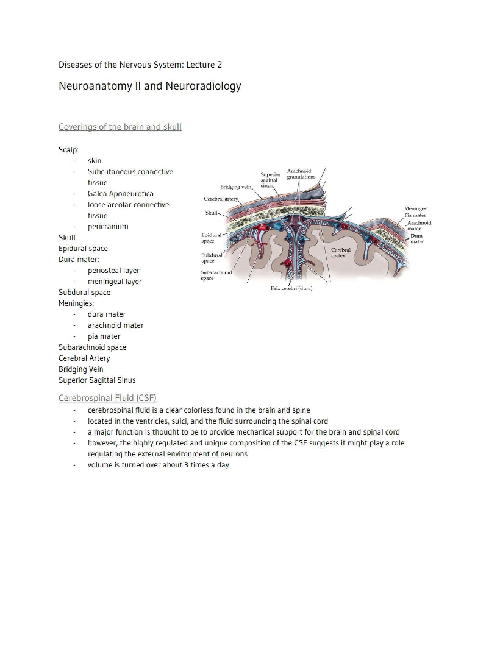 Advanced Neuroanatomy and Radiographic Imaging