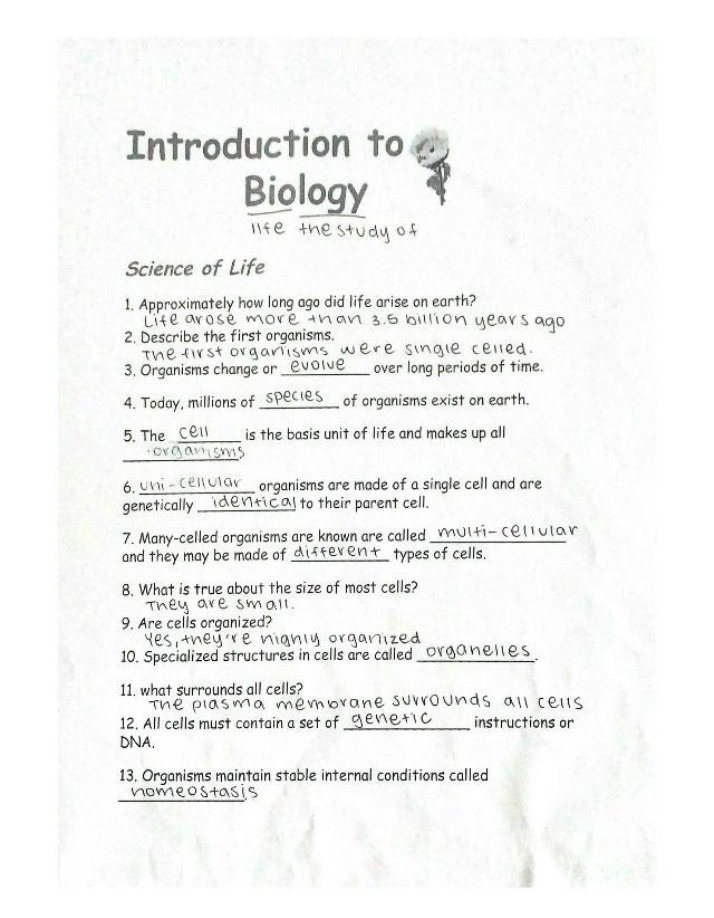 Study Guide for Introduction to Biology