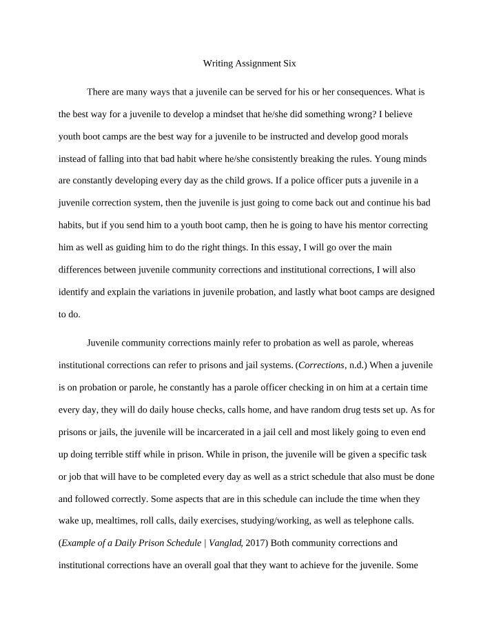 Developing Juvenile Mindsets - The Role of Youth Boot Camps