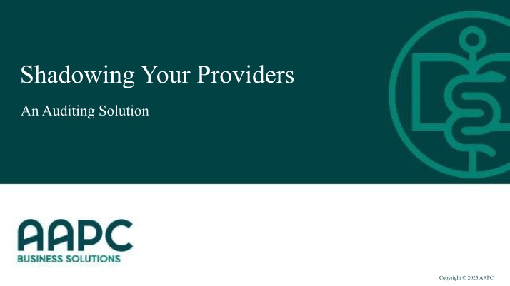 Auditing - Shadowing Your Providers