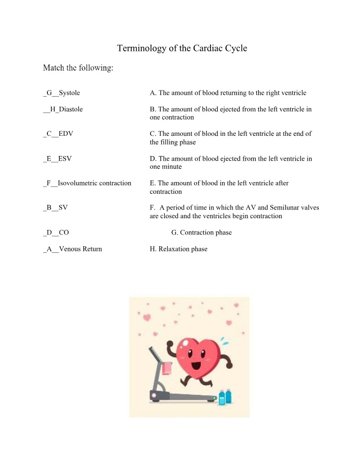 Cardiac Cycle - Systole, Diastole, EDV, and ESV