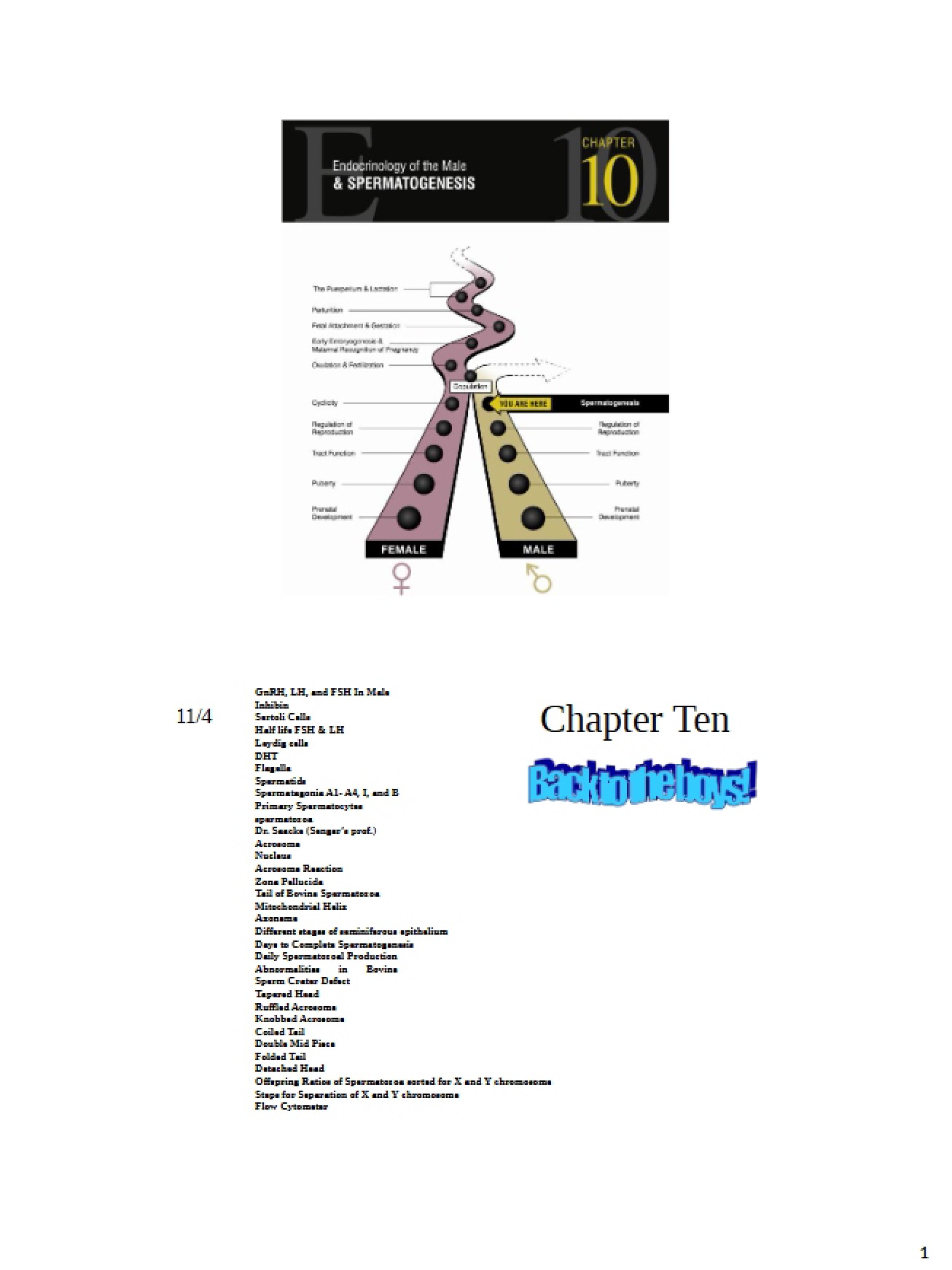 Chapter 10