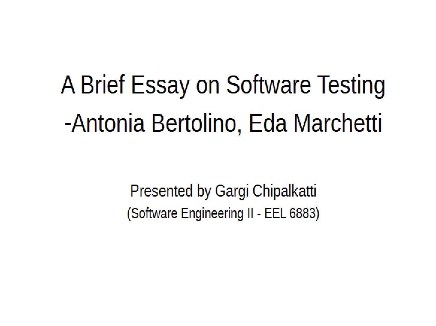 Software Testing Brief Essay