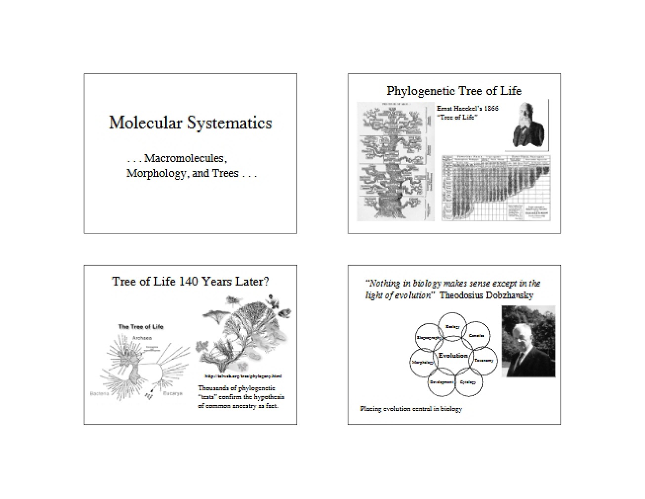 Systematics using Molecular Methods