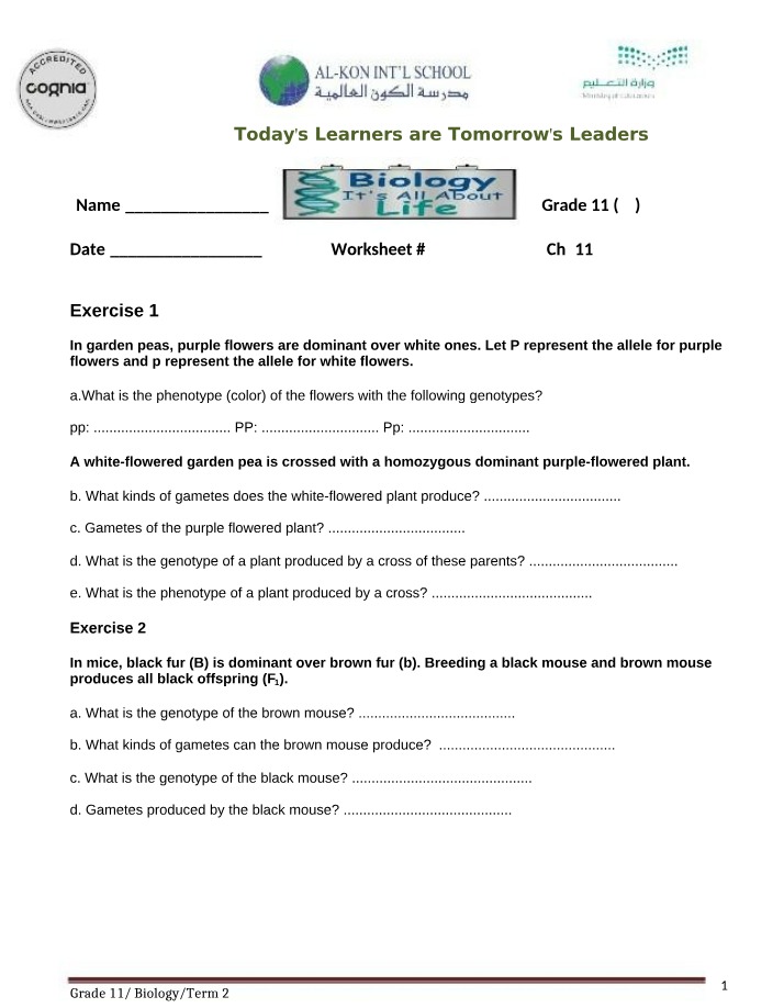 Worksheet on Genetics