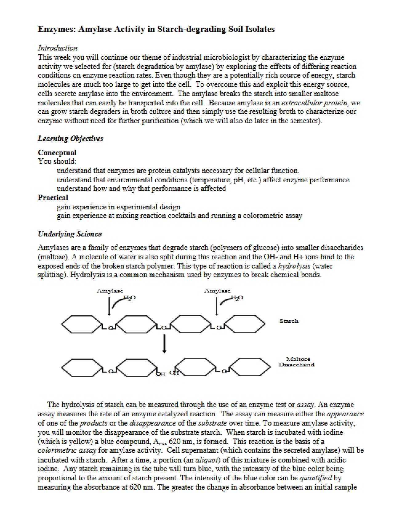 Activity of Enzymes